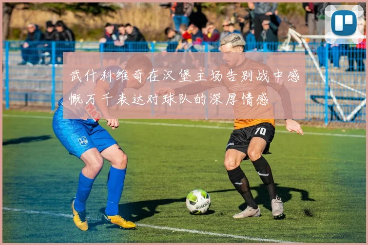 武什科维奇在汉堡主场告别战中感慨万千表达对球队的深厚情感
